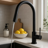 Black Pull Out Kitchen Mixer