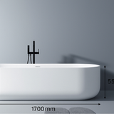 Lilac 1700mm Gloss White Freestanding Bath – Sleek Minimalist Oval Design