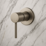 60mm Brushed Nickel Wall Mixer