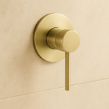 Brushed Gold Wall Mixer