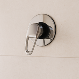 Duck Handle Wall Mixer