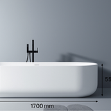 Lilac 1700mm Gloss White Freestanding Bath – Sleek Minimalist Oval Design