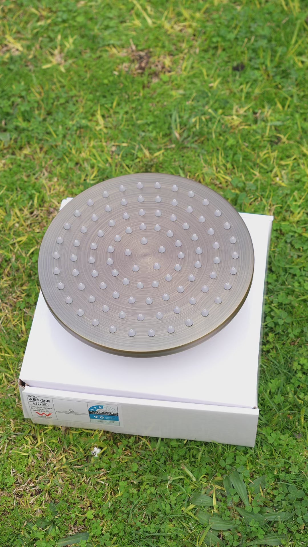 Seville Antique Brass Shower Head - 200mm