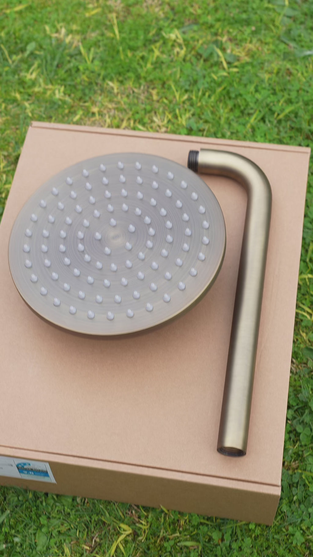 Seville Antique Brass Showerhead on Wall Mounted Arm