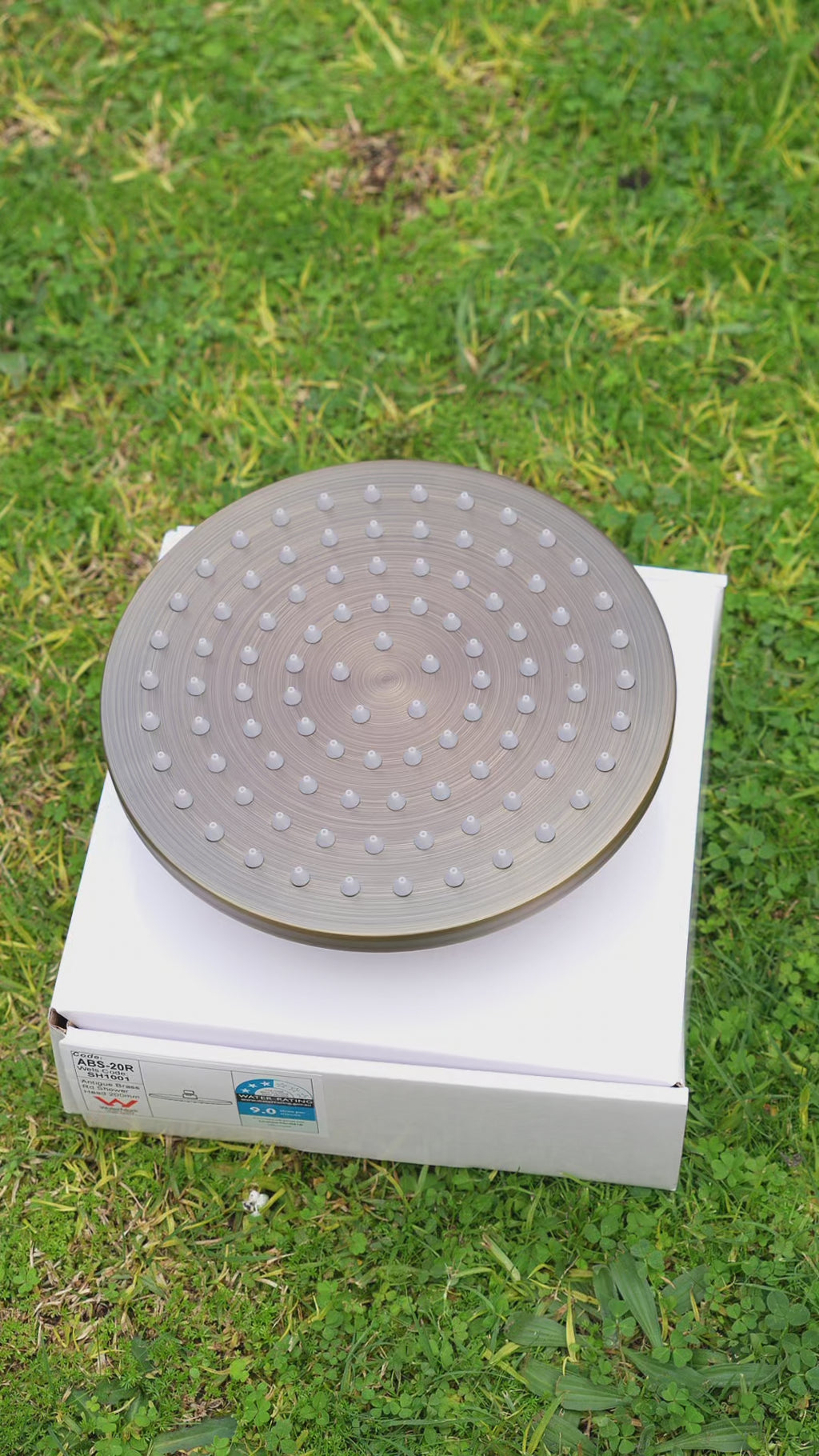 Seville Antique Brass Shower Head - 250mm